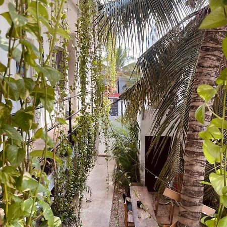 Hotel Anana Coliving Playa del Carmen Exteriér fotografie