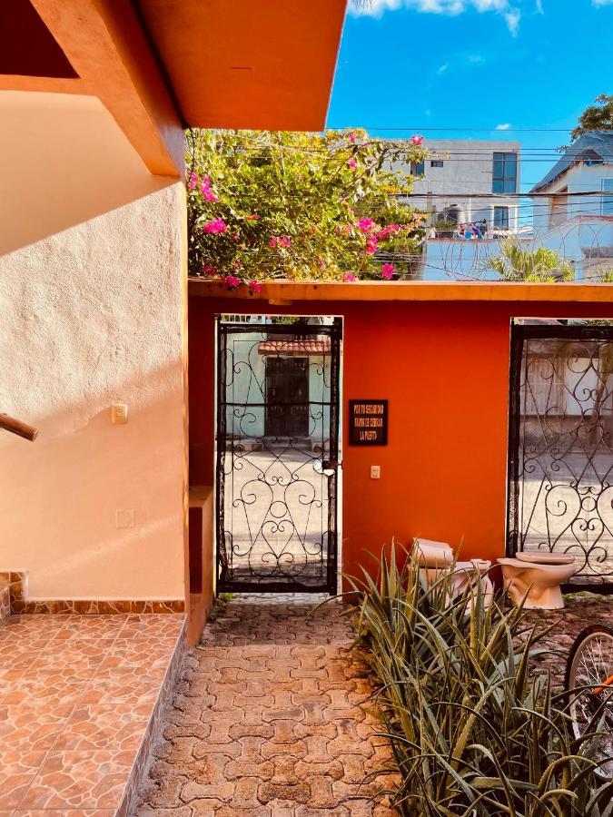 Hotel Anana Coliving Playa del Carmen Exteriér fotografie