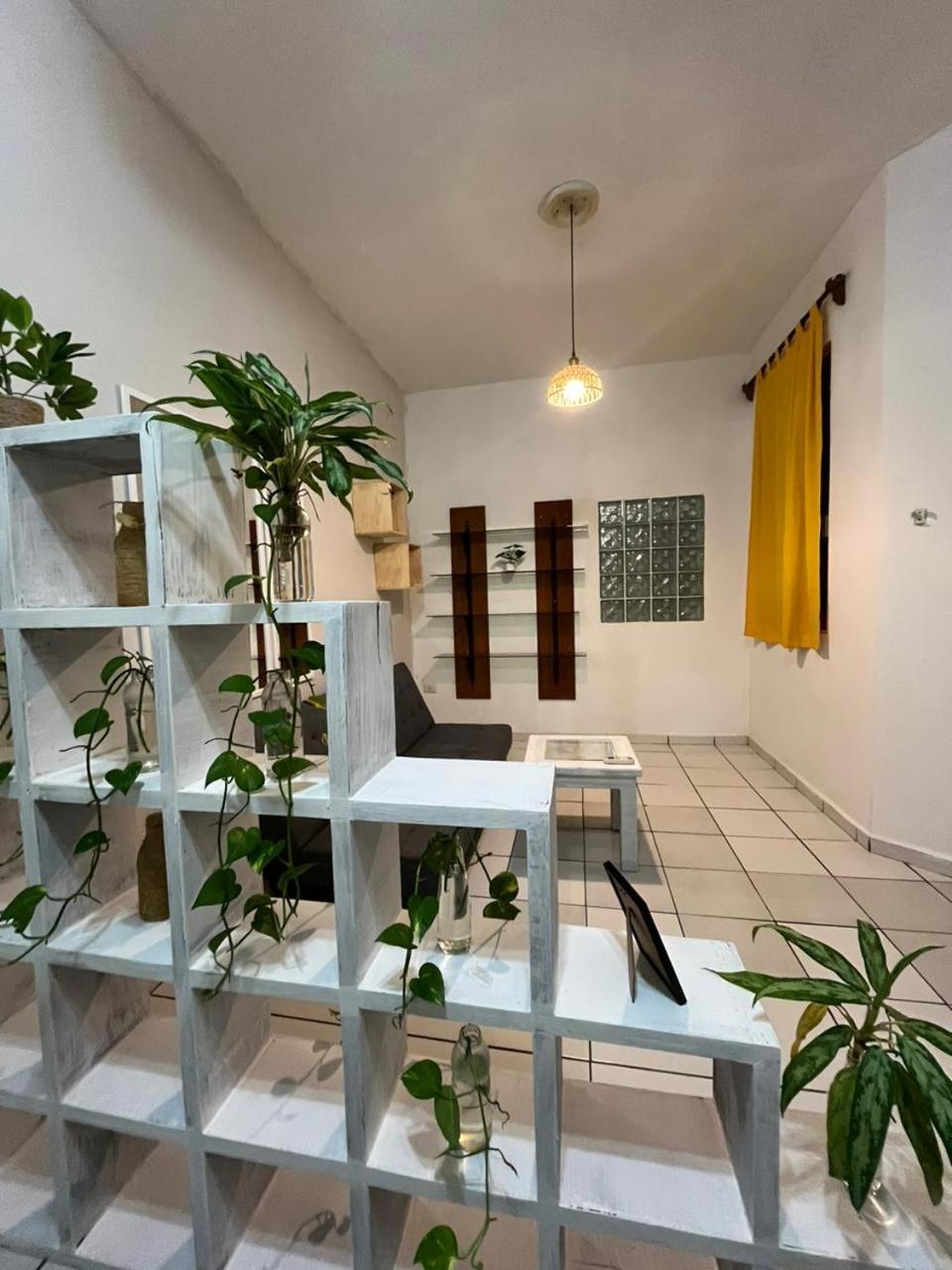 Hotel Anana Coliving Playa del Carmen Exteriér fotografie